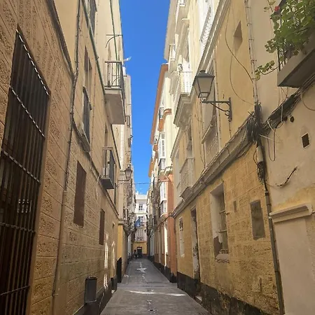 Luz Baal Grupo Ac Gestion Cádiz