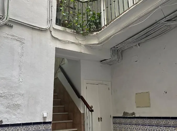 Luz Baal Grupo Ac Gestion * Cádis